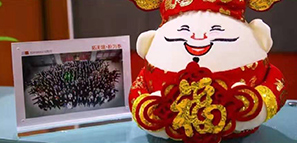 福祿壽喜報道，拓樸設計給您拜年啦！